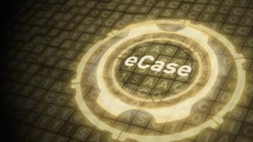 eCase Management System: A New Stage of Digitalization of Criminal Justice