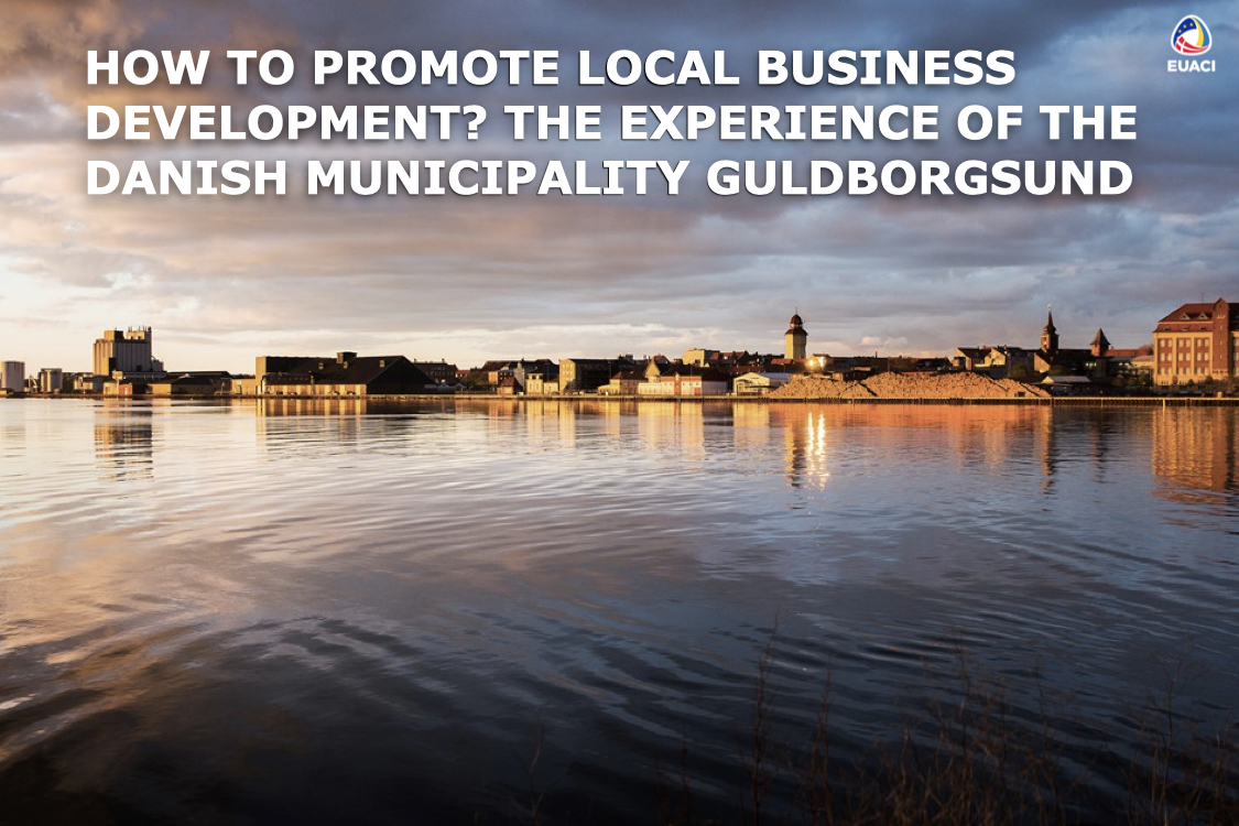 How to promote local business development? The experience of the Danish municipality Guldborgsund